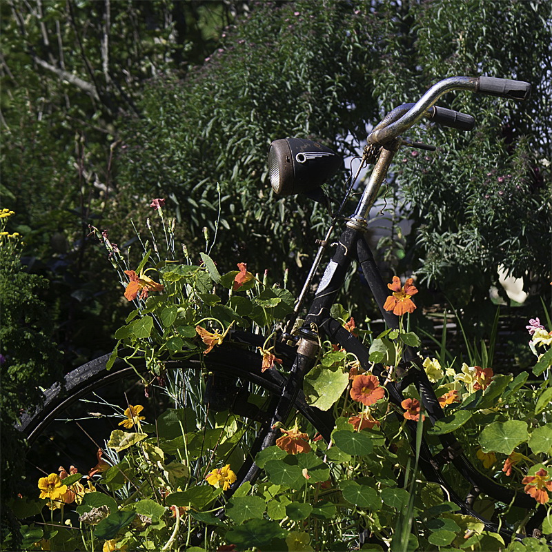 Allgäu 09 - 2014 - 20140915_0242 als Smartobjekt-1 Kopie.jpg - Ein altes Fahrrad als Gartendeko, eine gute Idee
